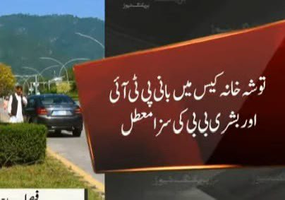 Cornered Tigers tweet media