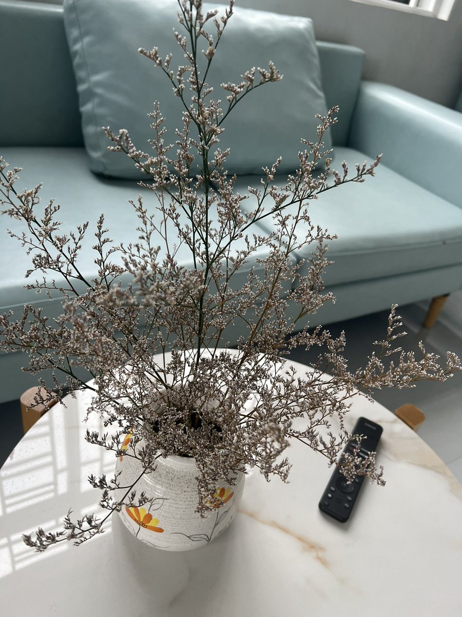 Luz Anabel Blanco tweet media