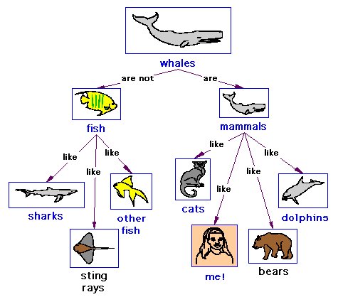 Shaaikham13H's tweet photo. Using a concept map to design a course can aid the teacher in guiding the students to learn relevant concepts rather than trivial facts. Also, it is essential to know that students may perceive instruction differently from what an educator intended. https://t.co/mORcGdGlng