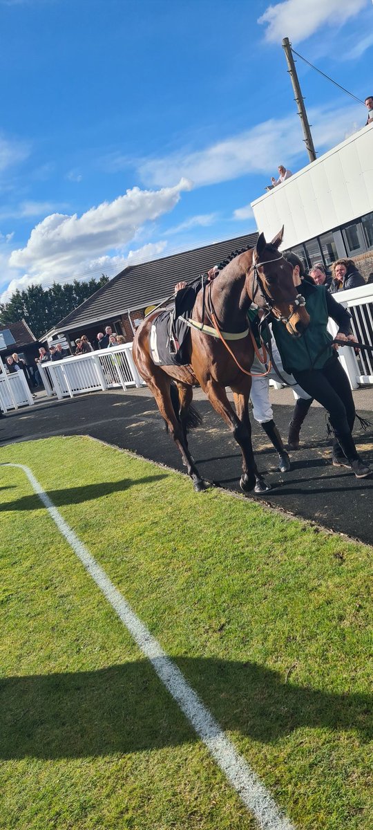 🟢⚪️ Mr Freedom ran a superb race in the Sussex Champion Hurdle, stayed onto finish second @plumptonraces

Congratulations to @Chrisgordonrac1  on a terrific day.

#horseracing #horseownership #winningsyndicate @RSAsyndicates @AffordablePship @TheSheenaWest @mgoldie111