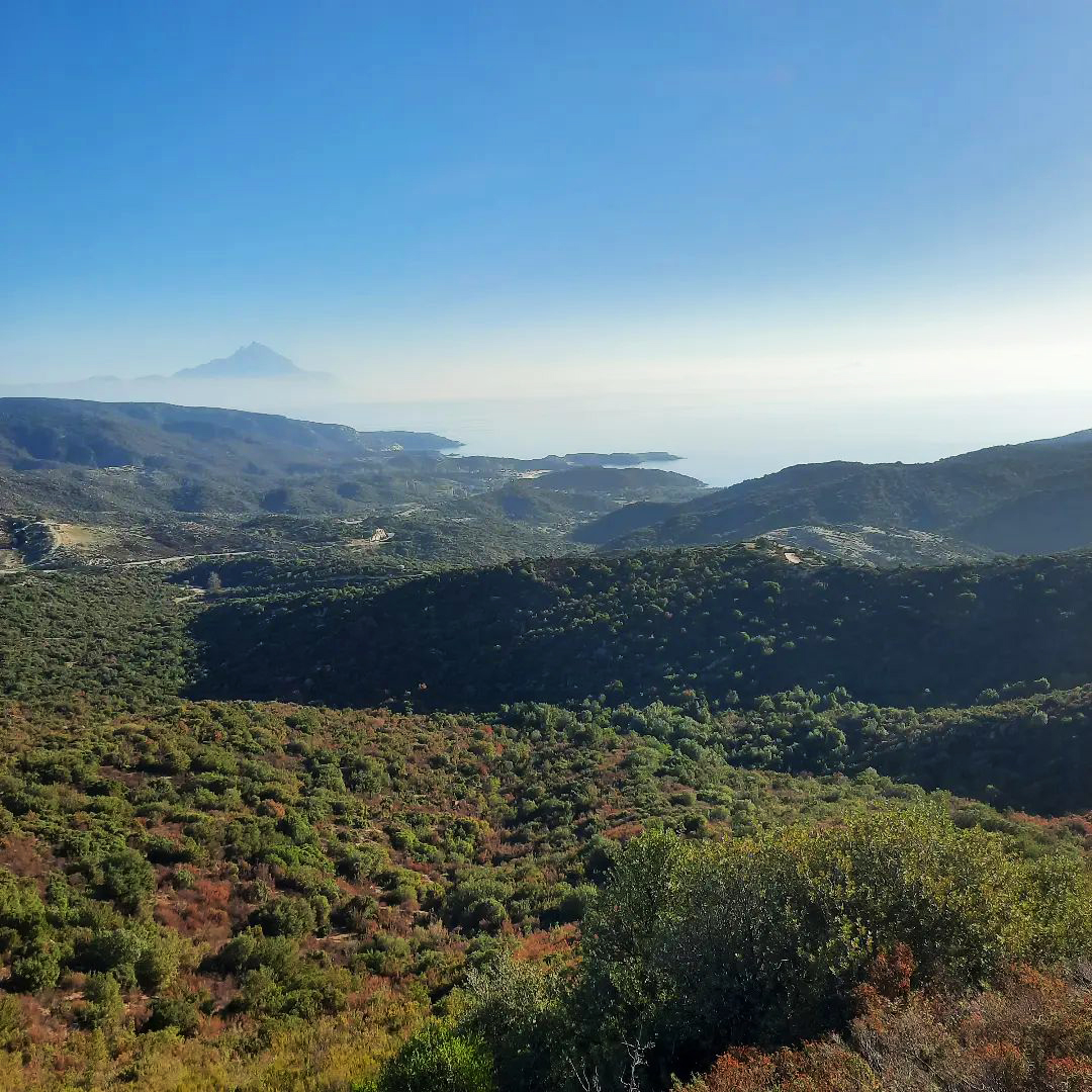 Never-ending hills… reaching the sea.
That’s Kalamitsi’s beauty!

Image: @elektratsioumtsiouda at Kalamitsi
#Halkidiki #VisitGreece @visitsithonia