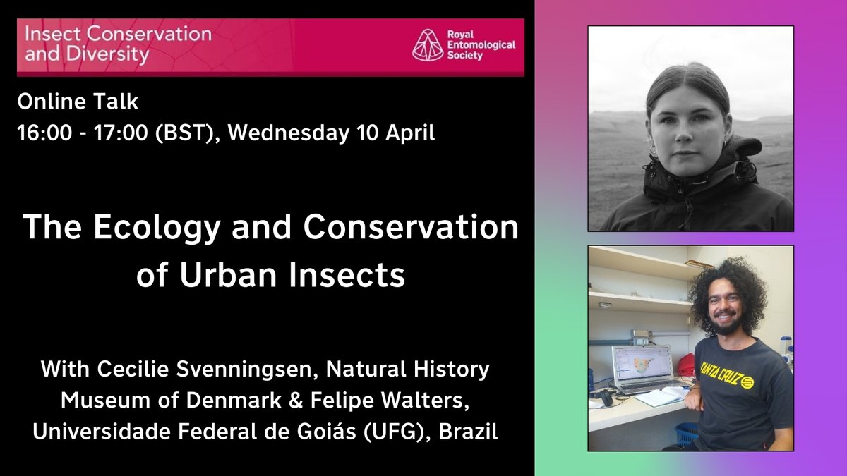 📢 It's next week! Join us on 10 April for our first online talk of 2024. Highlighting key research on 'The Ecology & Conservation of #UrbanInsects' from a recent #SpecialIssue of our journal @InsectDiversity. Free for RES members. Register now 🔽 royensoc.co.uk/events/online-…