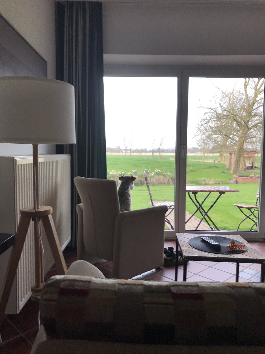 Rainy day behind the dike on the North Sea - time to reminisce