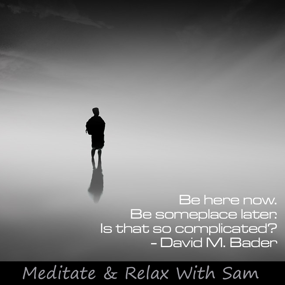 “Be here now. Be someplace later. Is that so complicated?” – David M. Bader

#meditate #meditation #quote #dailyquote #quotes #meditationquotes #findyourzen #positive #thoughts