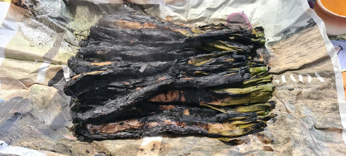Ahir em vaig acomiadar dels calçots per aquesta temporada amb una bona taula en família 
Me n'he fotut un fart!!!
Sempre gràcies als meus amics de #elguardiàcalçots