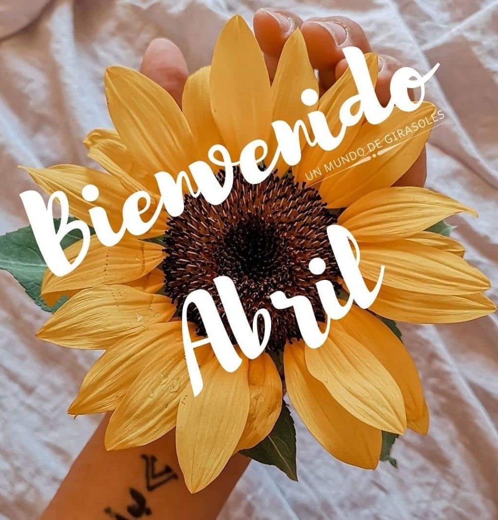Adiosito Marzo... Bienvenido Abril con 'A' de: AMOR ❤️ ABUNDANCIA 🧿 ALEGRÍA 😆 AMISTAD 🤝🏻 ADMIRACIÓN 🤩 AGRADECIMIENTO 🙏🏻 #FelizLunesATodos Gente Bella 🌻con toda la energía que llegó #abril 🩵💛🧡💙💜🩷 @Titomara4 @YekiAlare @CubaEsen @rofranco_ @GenvieveMx #DezurdaTeam
