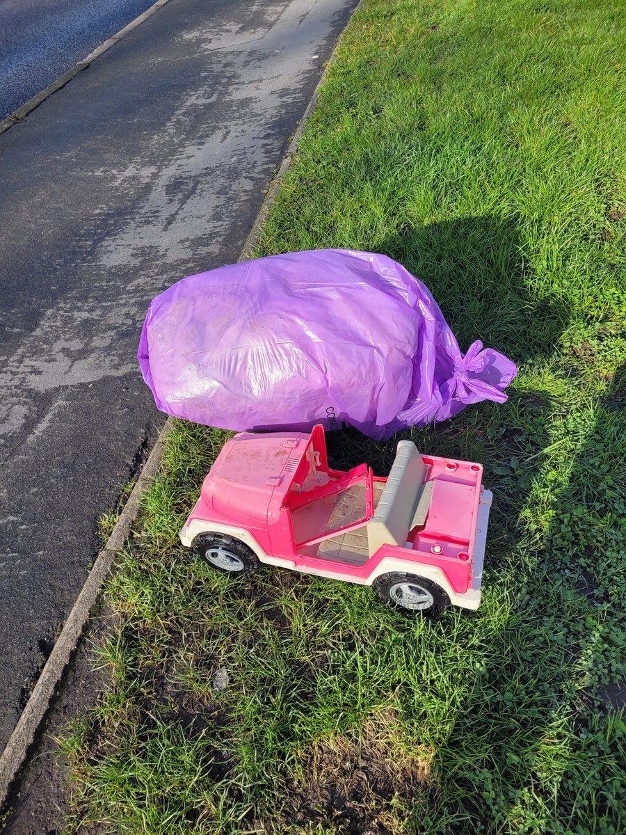 14 bags so far! Not bad for 2 hours work. Lovely to see our local counsellor @GreenKnight2010 join us. Massive thankyou to Raven and Shasha. @RavenHT @Litterwatch1 @KeepBritainTidy #hamsterspickers