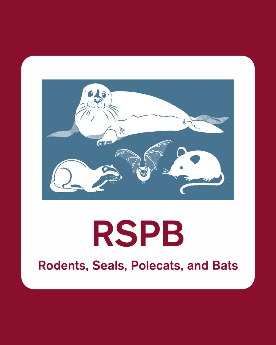 We're rebranding! Do you like our new name? Make sure to tag #rspb or @Natures_Voice when you are posting mammal pictures! #mammals #mammalsociety #wildlife #birds #aprilfools