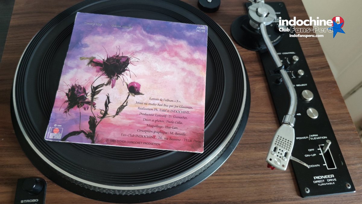 IndoFansPeru's tweet photo. #IndoStory... 1ero de abril de 1985, sale a la venta el single #CanaryBay - ¿Que opinas de esta canción?
1er avril 1985 - sortie de single Canary Bay - sans hésitation une des classiques de groupe.
@indochinetwitt @nicolasirkis https://t.co/cFAvoNTuD9