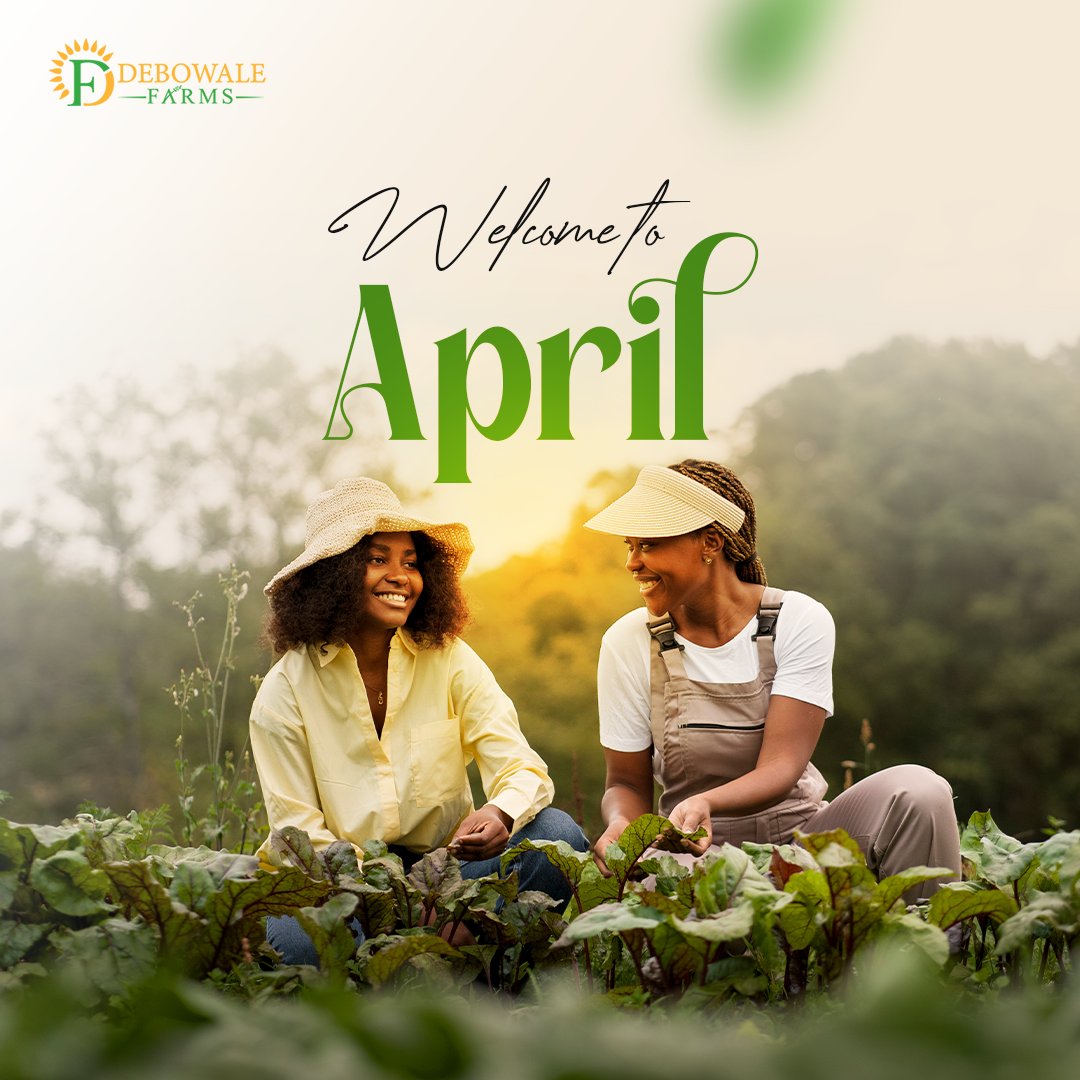 Happy New Month!🎉 
April is here, and we're excited for the fresh opportunities it brings. 
Wishing you joy, success, and plenty of reasons to smile this month. 

#NewMonthVibes #Debowalefarms
#Food #nutrition #agribusiness #agriculture #youthinagriculture #farmer