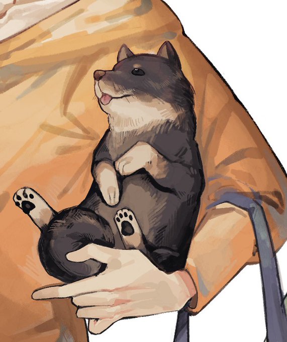 「holding shiba inu」 illustration images(Latest)