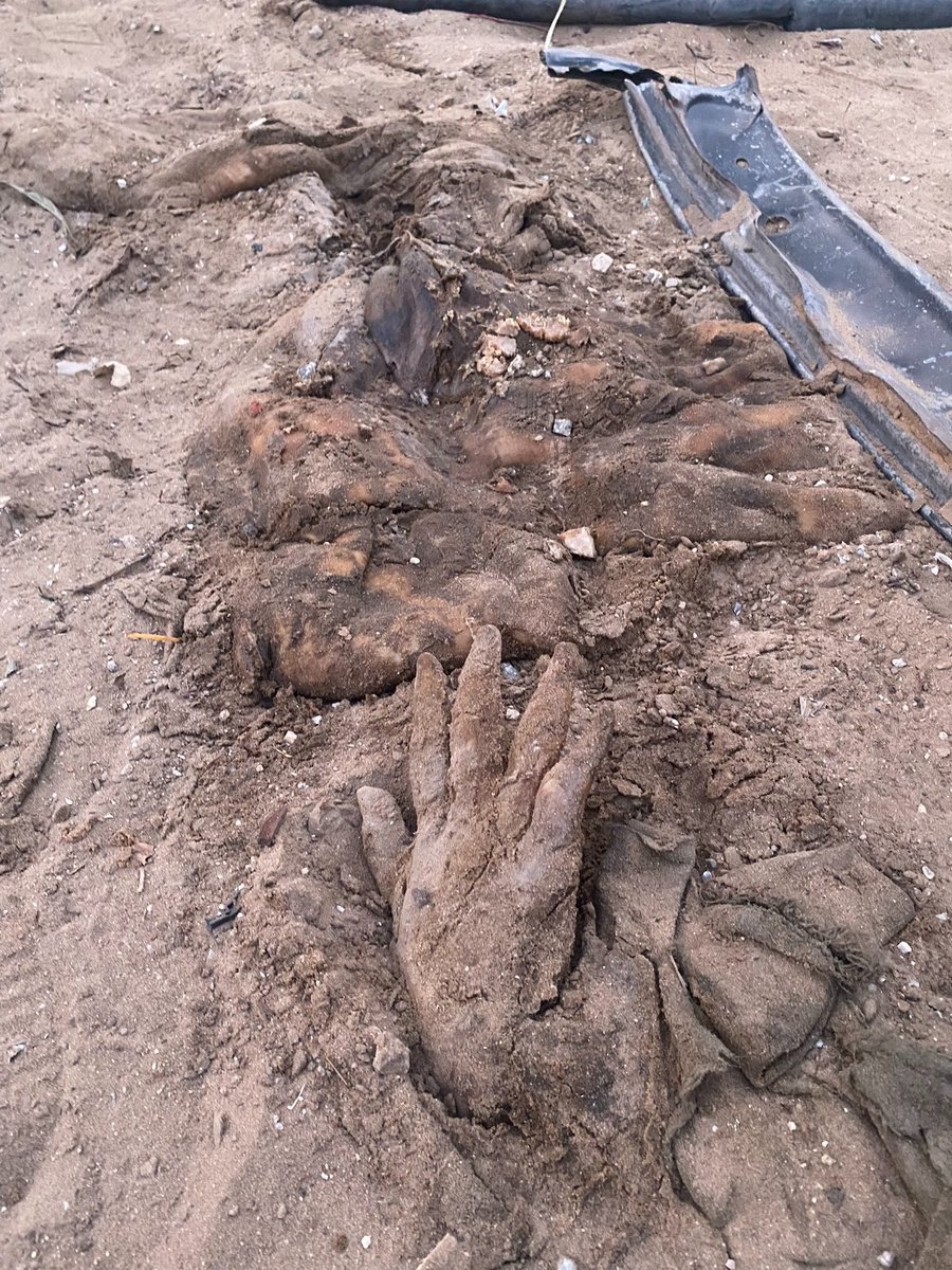 ⚠️ Graphic content ⚠️ Photos showing the remains of Palestinian civilians mass executed by the Israeli army in the Al Shifa Medical Complex in Gaza City. The Israeli army pulled out from the complex late last night after a deadly two-week onslaught that saw dozens of innocent…