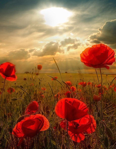 🌈Bom dia,☀️ uma abençoada semana a todos... 
Busquemos a prosperidade com amor e respeito a Deus e a nossos semelhantes.

🙏E que assim seja!