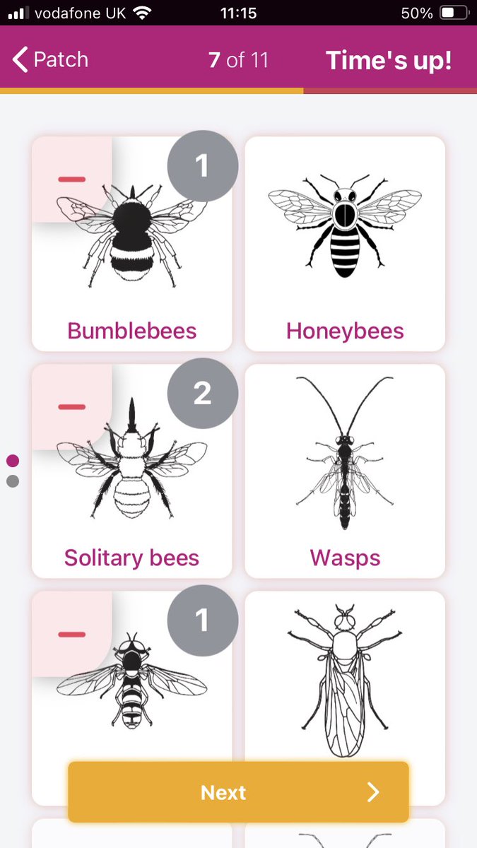 Two FIT Counts, happy me 😊 and the sun is still shining 🌤️ Dandelion was visited by 1 sleepy looking hoverfly and 1 ‘other’ fly; Green alkanet had 1 bumblebee (Bombus pratorum worker), 2 solitary bees (Anthophora plumipes males) and a hoverfly. Excuse the photos!