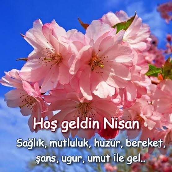 Bahar ne güzel de hatırlatıyor 
yaşadığımız sürece umutların bitmeyeceğini..🍃

Al eskici!.. 
Yarım yamalak yaşadıklarım; Suratsız zamanlarım..Senin olsun..💃

Bana güzel bir şarkı söyle..🎶🎵
İçinde;
Sevgi..İçinde umut olsun...💜

1 Nisan #pazartesi