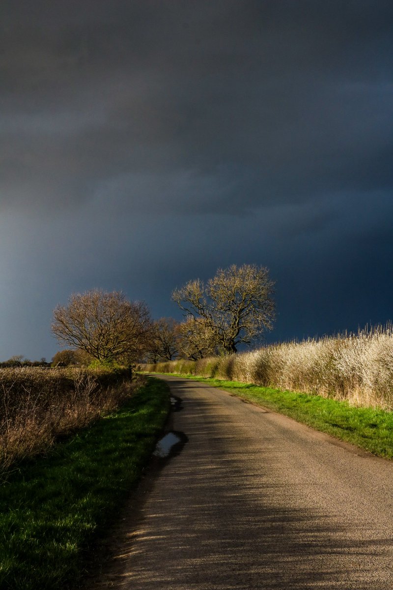 Spring in North Yorkshire #countrylanes #treeclub #Yorkshire #skyphotography #blossom #hedgerow #rain #bkackthorn