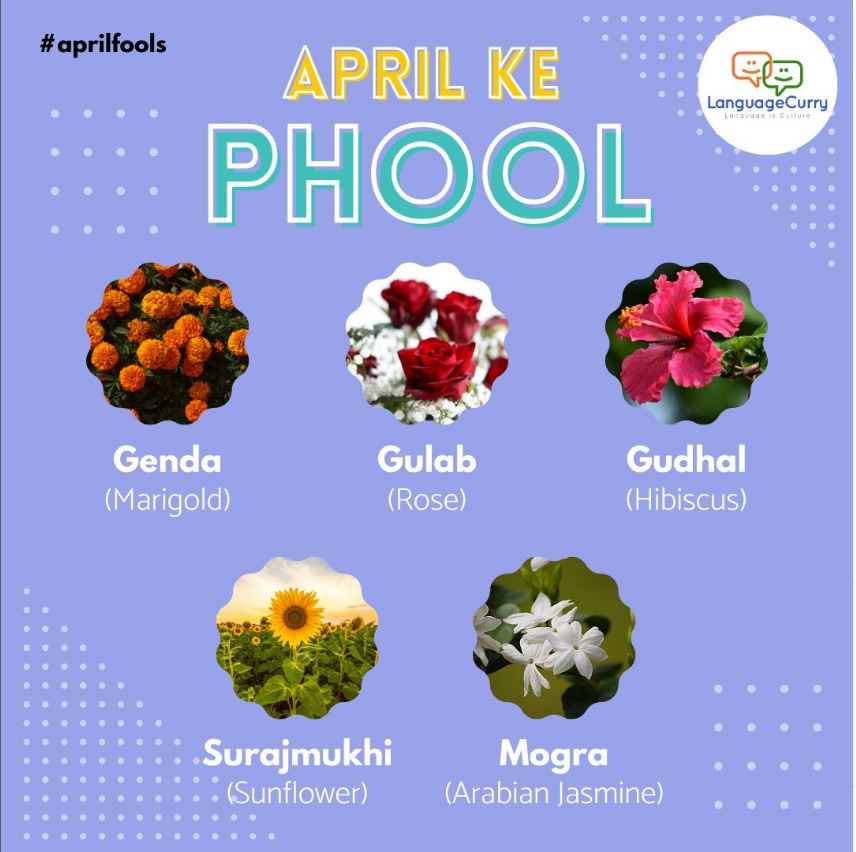 languagecurry's tweet photo. Move away Fools when we have such pretty #April Phool !

#spring is here and so are the beautiful indigenous flowers that are widely used for decorations and also for medicinal purposes.
Which is your favorite April Phool?
#AprilFoolsDay #Flowers #languages #AprilFoolsDay2024 https://t.co/tQrJkERVLR