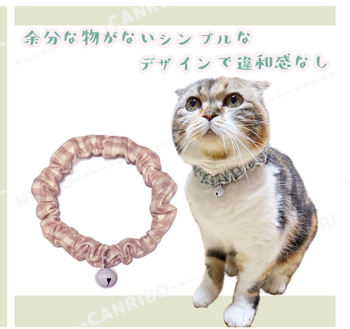 momoko_zubora's tweet photo. たっちゃんの首輪がそろそろボロボロになってきたので交換予定ですが
どれが良いかアンケート取らせて下さい😆

リプ欄にアンケート載せていますのでよければ回答お願いします🐱 https://t.co/ZKGpbTuMOf
