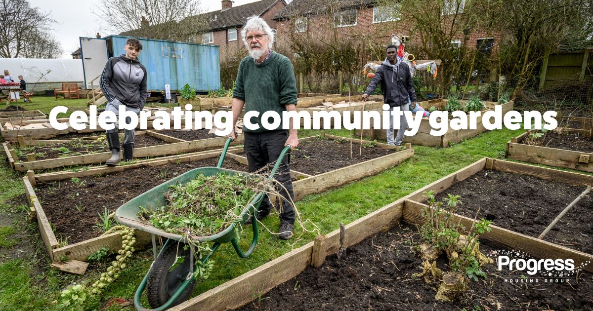 This Community Garden Week, we celebrate the amazing community gardens in our neighbourhoods. Our friends at The Base run a fantastic community garden which is currently open Saturdays 12pm until 2pm for people to get stuck in or just sit and enjoy the surroundings.