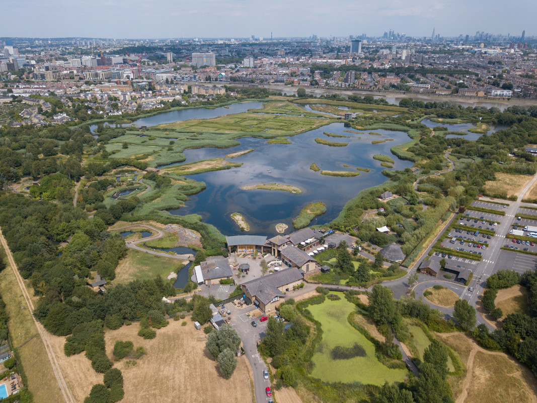 Looking for an urban escape? #WWTLondon is a thriving haven in the middle of #London. Our sanctuary hosts more than 2,000 #wildlife species, forming a vibrant biodiversity tapestry & making it a premier destination for wildlife enthusiasts. Learn more: wwt.org.uk/wetland-centre…