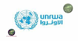 Veleno_Q_B's tweet image. #VQBChannel 🇮🇱 🇺🇳

AD ISRAELE NON STANNO PIÙ BENE LE AGENZIE ONU

L'#UNRWA non è a conoscenza della #proposta che #Israele avrebbe avanzato all'organismo mondiale di scioglierla. Lo ha detto alla #TASS #Juliet_Tuma, direttrice delle pubbliche relazioni dell'#UNRWA.