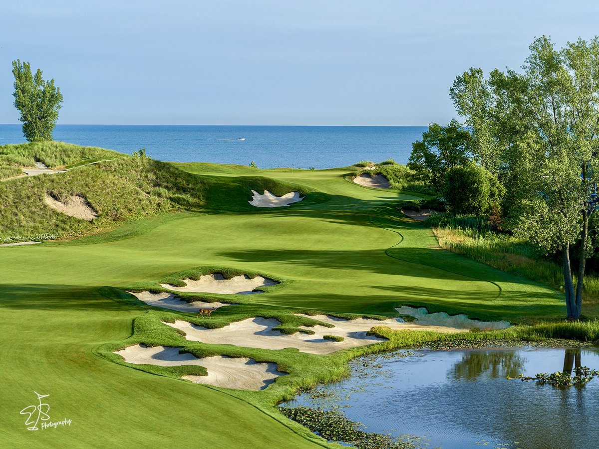 Evan_Schiller's tweet photo. With approximately 850 golf courses, Michigan ranks 5th in the US in total number of courses...among those there are some gems that might not hit people's radar.  One of those just might be @HarborShores.   
#golfcoursephotos  #golfcoursephotography https://t.co/n92chcbgjY