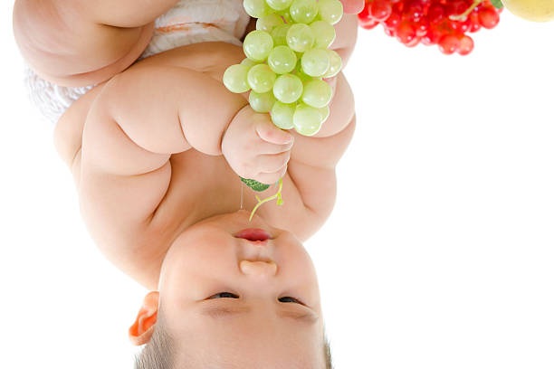 fatchinamonday's tweet photo. april first #fatchinesebaby https://t.co/HtpVZBSj3w