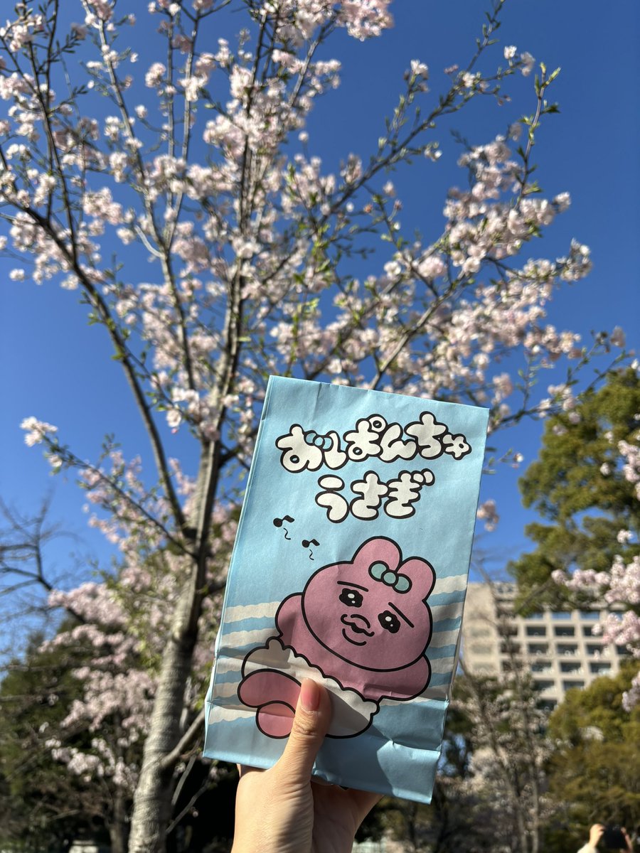 229901_'s tweet photo. はろー4月🆗🆗🆗

おかぴと🌸🐰
1週間前は大阪いってゆりにむとひとみんにも会いました🍺 https://t.co/EJFbeWDgZo