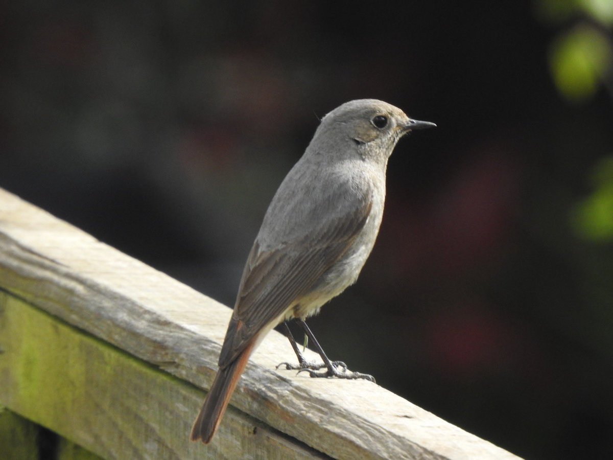 Mike Feetham tweet media