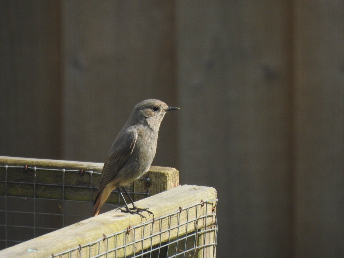 Mike Feetham tweet media