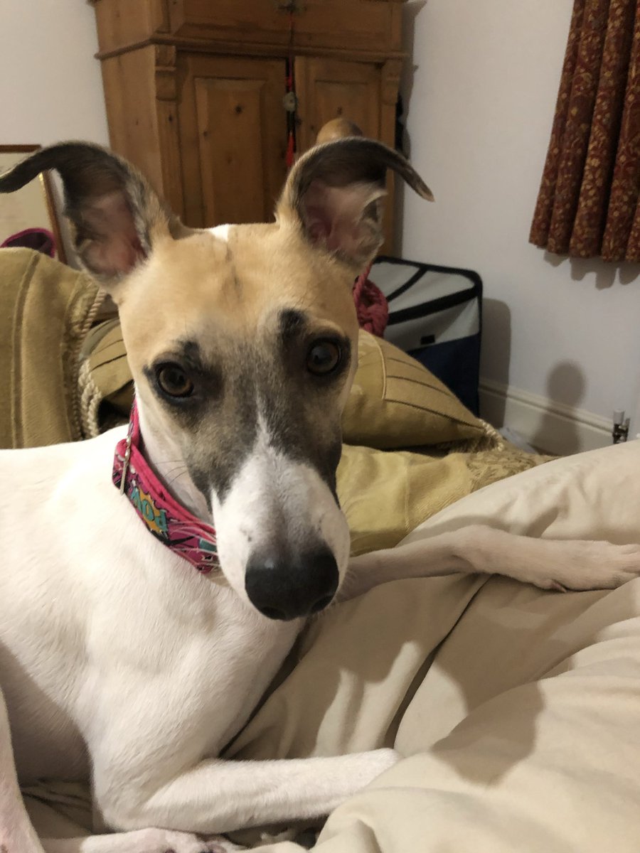 Kai 🌈& Co tweet media