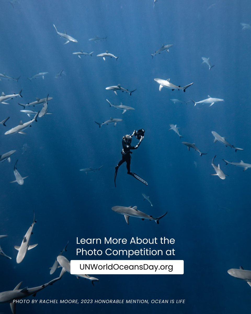 🌊 📸 Last days to enter the 11th Annual Photo Competition for #UNWorldOceansDay! This year’s competition presents a fresh opportunity for photographers to showcase the majestic beauty of our ocean. ⏰ Deadline: 7 April 2024 More information 👉 UNWorldOceansDay.org