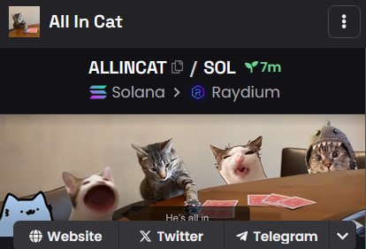 allincatsol's tweet photo. Dex updated https://t.co/AtHFJc5Hze