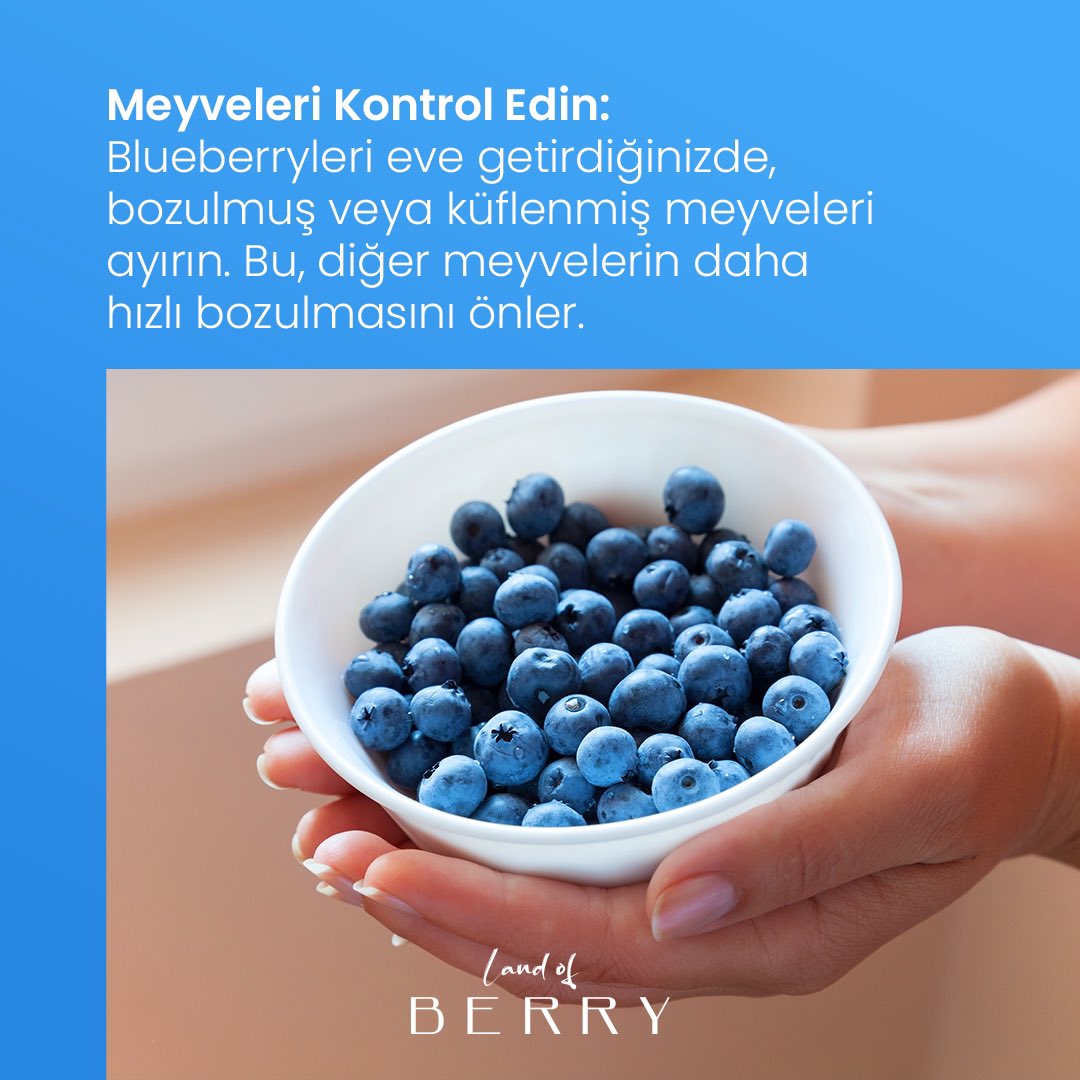 LANDOFBERRYBYS1's tweet photo. Blueberrylerinizin uzun süre taze kalmasının sırları.  #landofberry #merryberry https://t.co/x9ONM86ESq