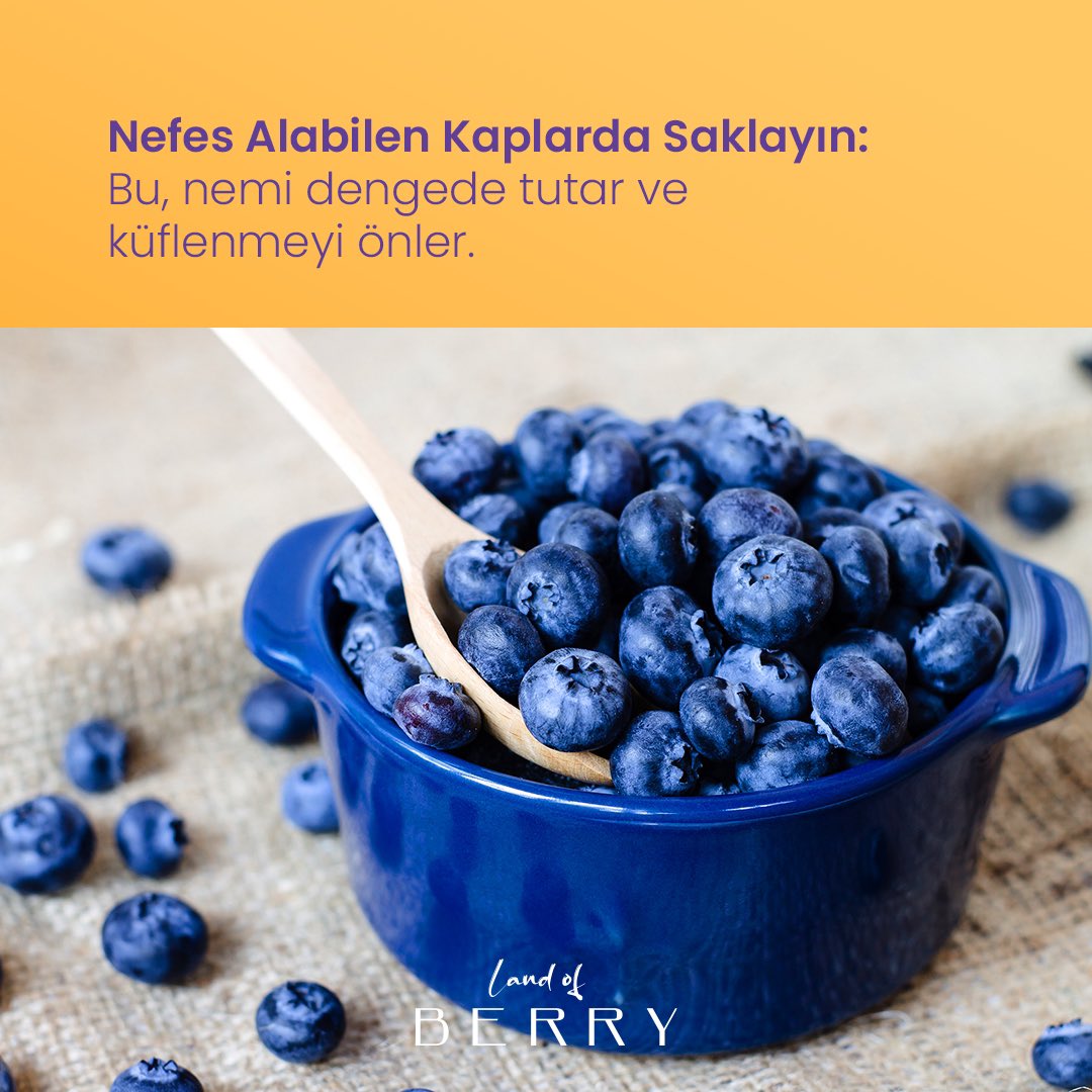LANDOFBERRYBYS1's tweet photo. Blueberrylerinizin uzun süre taze kalmasının sırları.  #landofberry #merryberry https://t.co/x9ONM86ESq