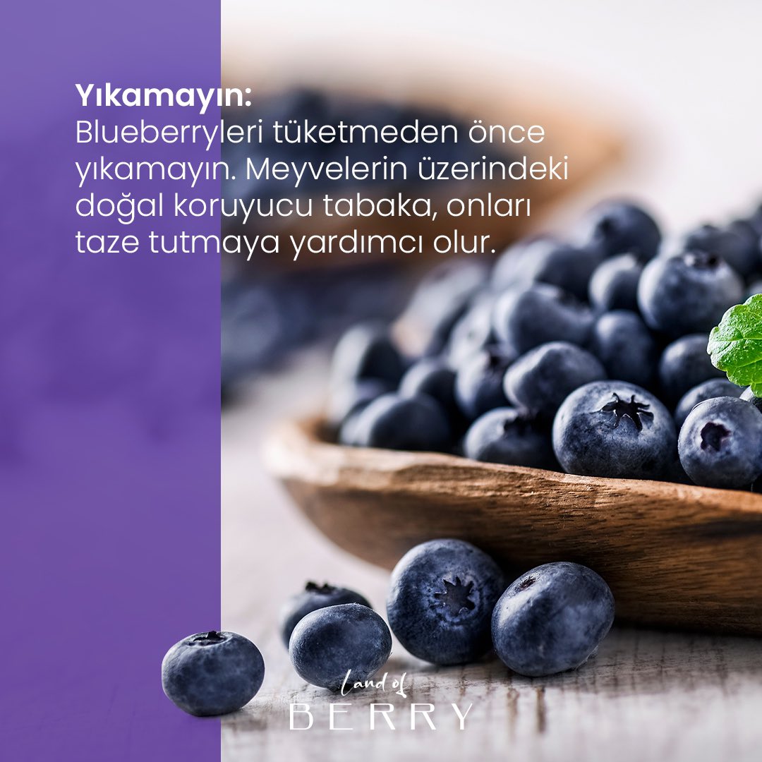 LANDOFBERRYBYS1's tweet photo. Blueberrylerinizin uzun süre taze kalmasının sırları.  #landofberry #merryberry https://t.co/x9ONM86ESq