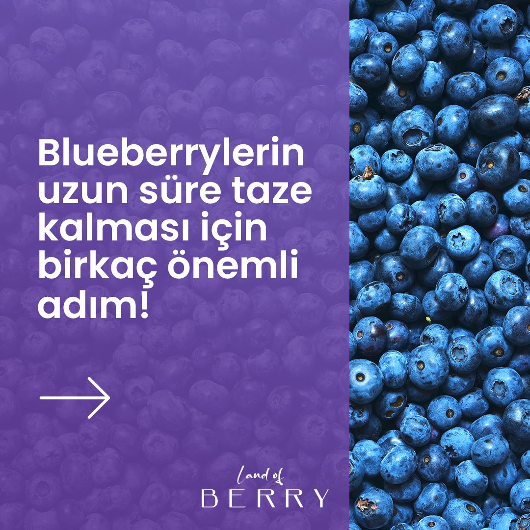 LANDOFBERRYBYS1's tweet photo. Blueberrylerinizin uzun süre taze kalmasının sırları.  #landofberry #merryberry https://t.co/x9ONM86ESq