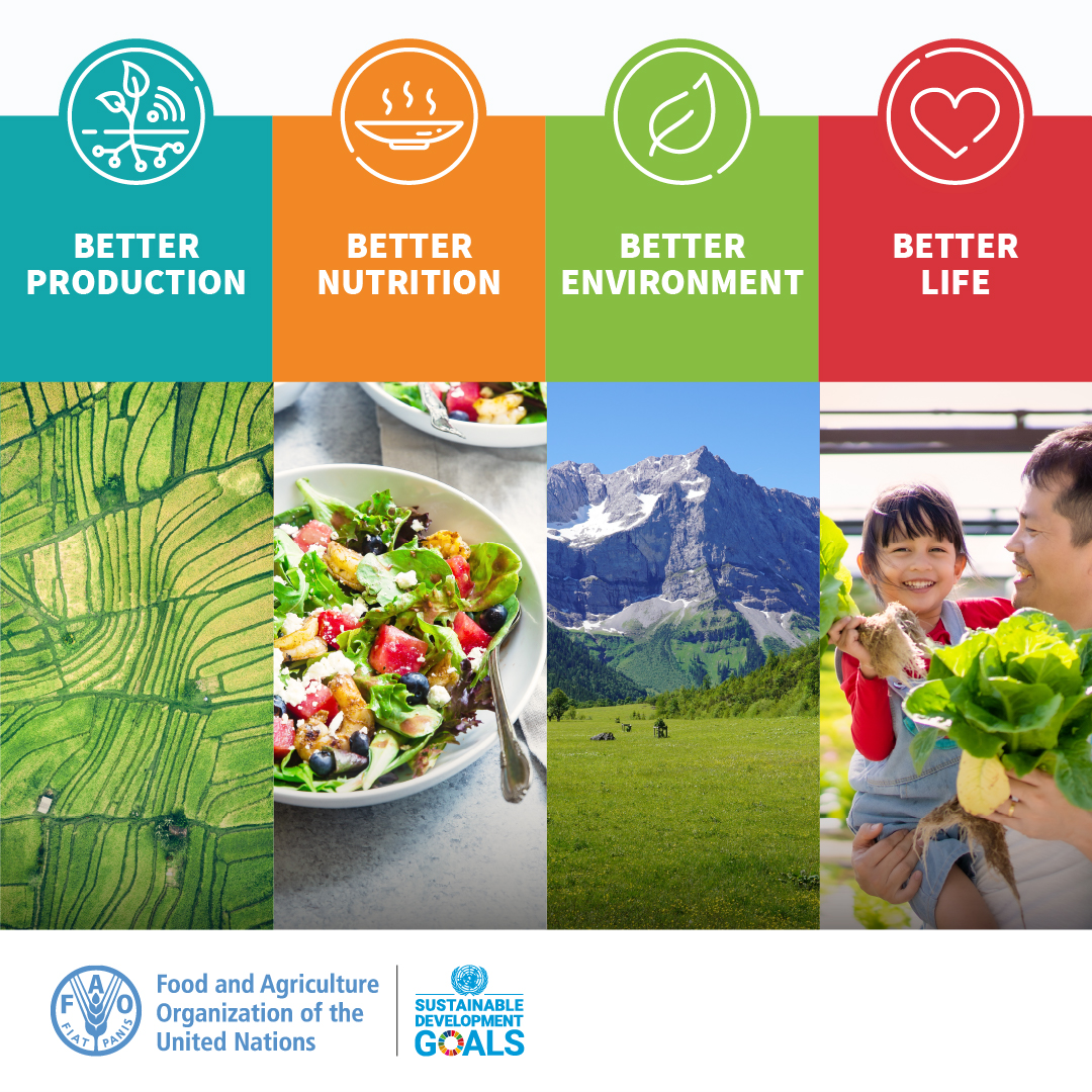 Let's transform our agrifood systems for:

🔹#BetterProduction
🔸#BetterNutrition
🔹#BetterEnvironment
🔸#BetterLife

... leaving no one behind.

A sustainable & food secure world for all is possible if we work together.

#4Betters