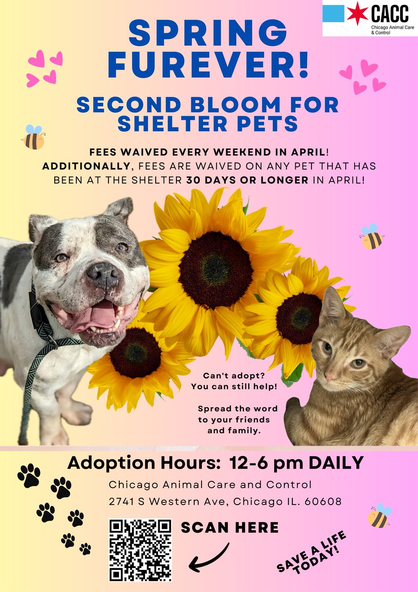 Although adoption fees are waived, the adoption process does not change. Pet adoption is a lifetime commitment. To ensure a lasting bond, our staff and volunteers will be on hand to ensure potential adopters are prepared for their pet's every need throughout its life.