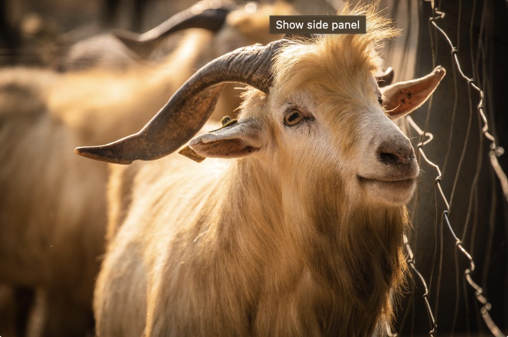 Today we're excited to announce we're going in a new direction. Don't worry, we'll still do some shipping stuff.
easygoats.com

#AprilFools