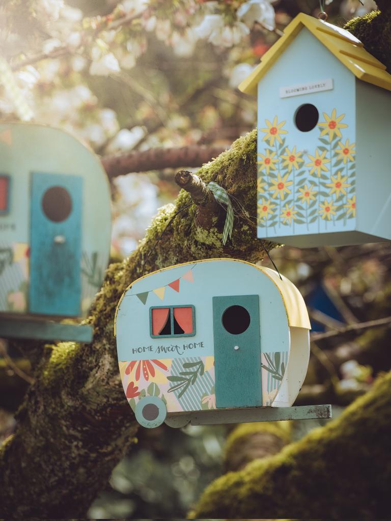 Build a little bird house in your soul. Spotted this lovely little scene on a nice stroll around the local village of Bollington. There were around a couple dozen quirky bird boxes hung in the tree. #FSPrintMonday #APPicoftheWeek #OMSystem