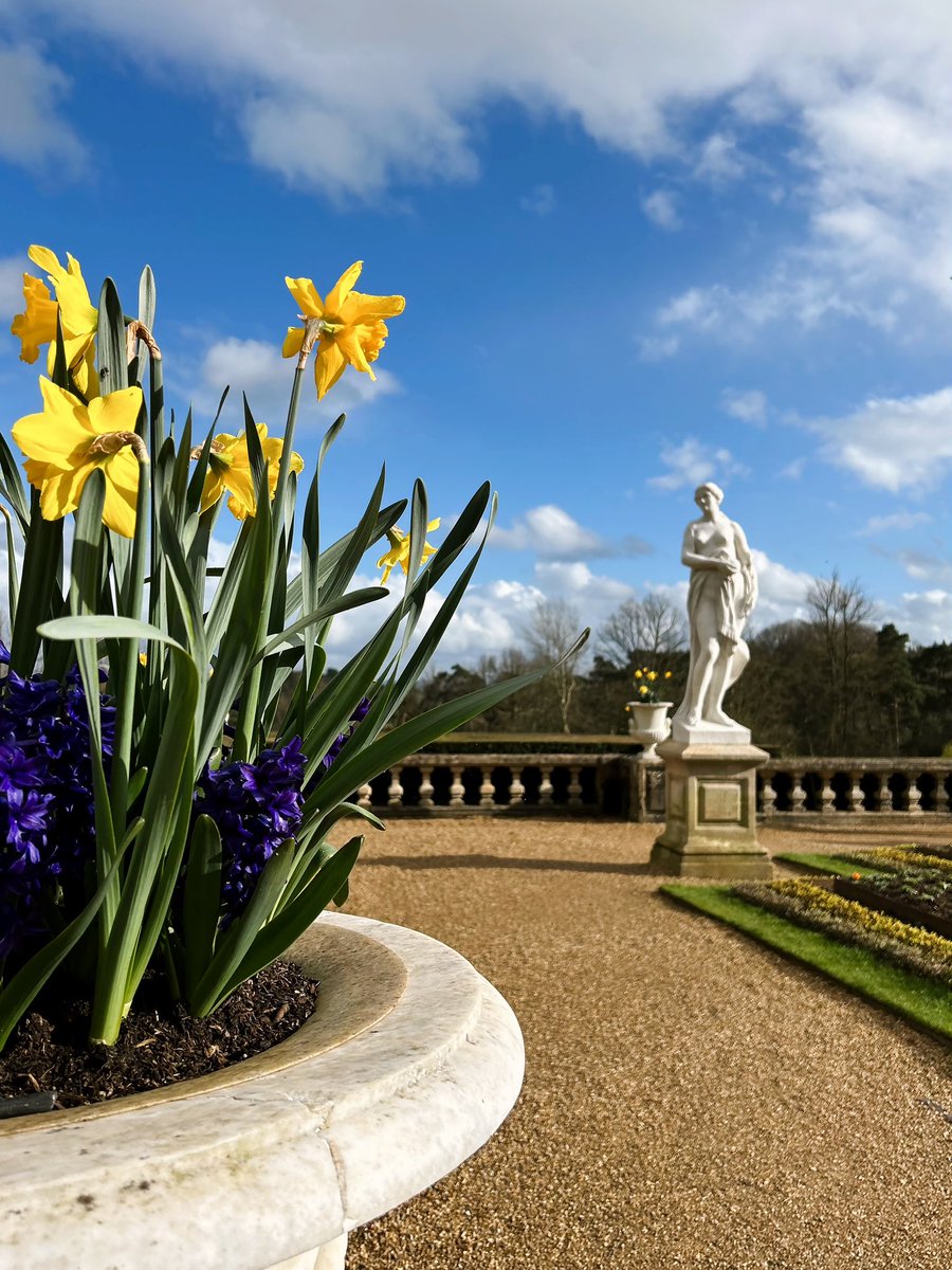 Statues, Blue Skies and Daffs @WaddesdonManor @nationaltrust I hope you’ve all had a beautiful Easter break 🌼🌼🌼