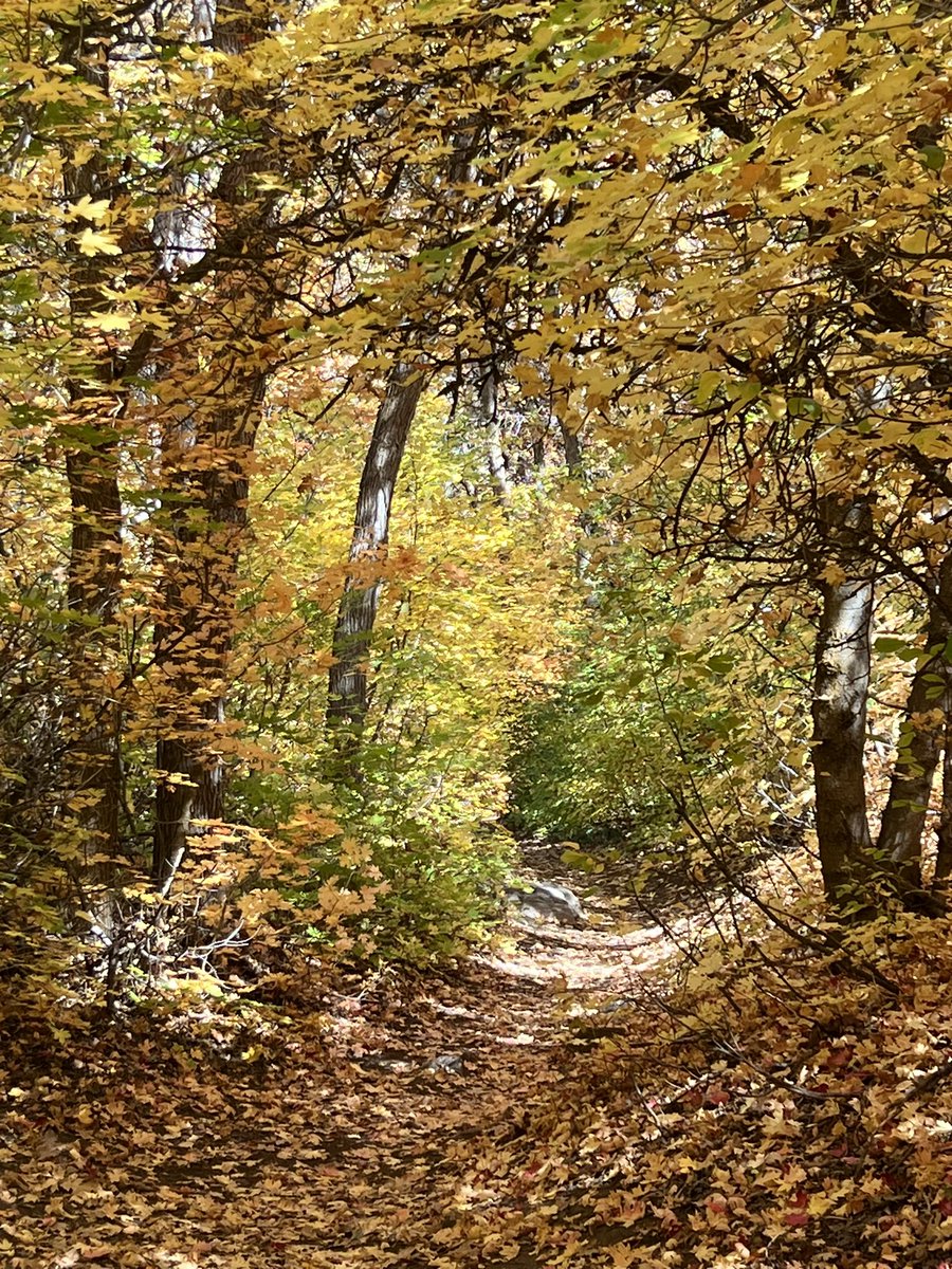 k_r_baum's tweet image. I&apos;m asking those who love the outdoors to post a picture YOU took. No description. The goal is to regain peace and harmony without negativity. Please copy the text, put a picture on YOUR page.