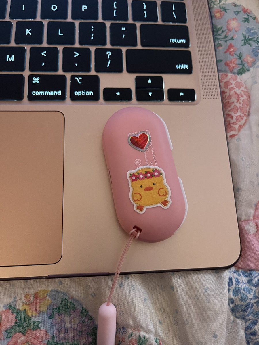 I made my Anki remote cute 😌