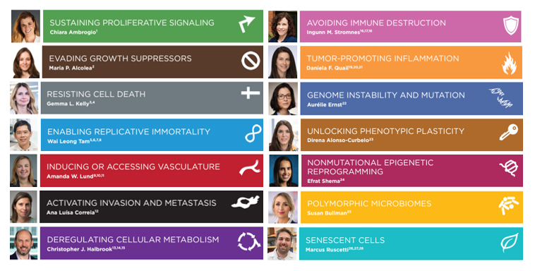 Out today in @CD_AACR! #CancerHallmarks: Piecing the Puzzle Together 🧩 @AmbrogioLab @MariaPAlcolea @gemmakelly_1 @waileongtam @theLundLab @alpcorreia @CJHPhD @IngunnStromnes @DanielaQuail @ErnstAurelie @DirenaAC @ShemaEfrat @BullmanLab @Marcus_Ruscetti doi.org/10.1158/2159-8…