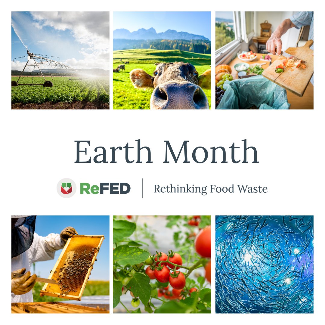 This #EarthMonth, let's not overlook a crucial solution for #ClimateAction: #FoodWaste reduction. This isn't a hoax — it's a top strategy to combat climate change. Don't believe us? The data doesn't lie! insights-engine.refed.org/solution-datab… #AprilFools