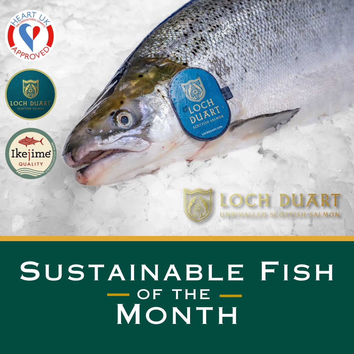 Fortune Fish & Gourmet tweet media