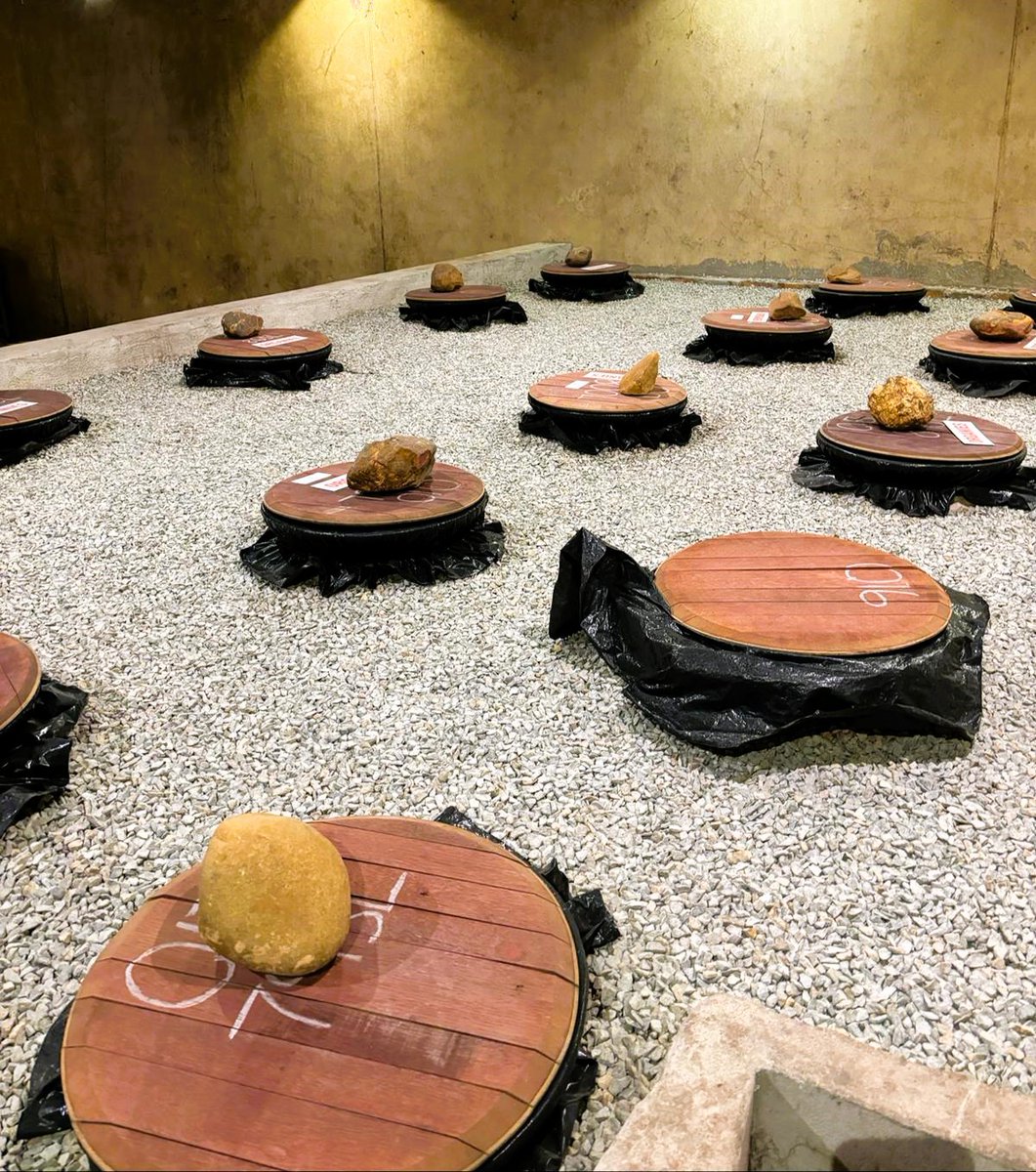 Grupo Meddis, vinos del nuevo mundo tweet media