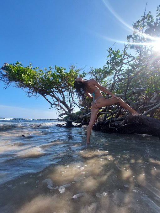 Amazing🥰 #galapagos #islands https://t.co/ELlrNS0diW<a href="/tag/galapagos"class="tags">#galapagos</a><a href="/tag/islands"class="tags">#islands</a>