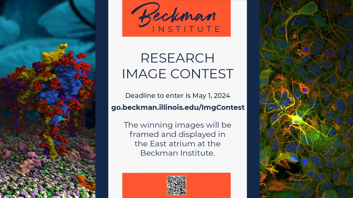 Submit a picture for the Beckman research image contest! The deadline to enter is May 1, and the images will be displayed at the Beckman Institute!